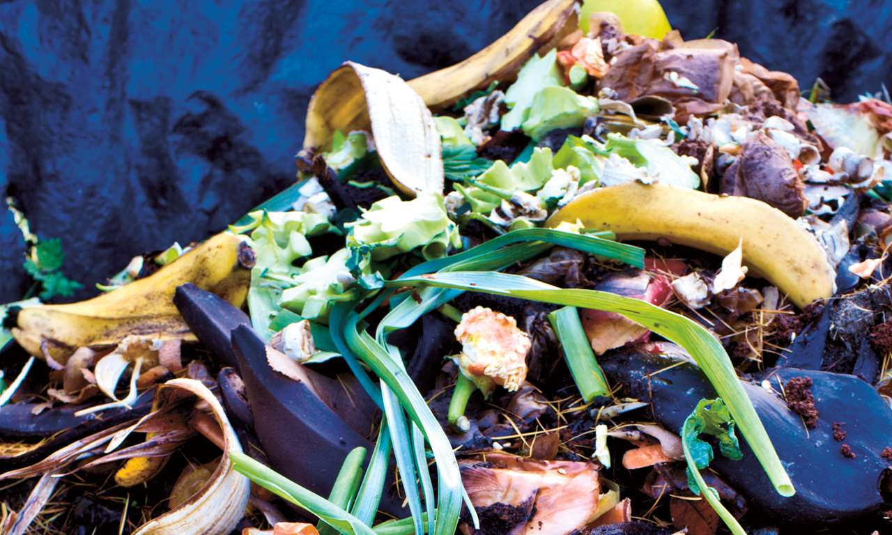 Domestic and garden compost heap.