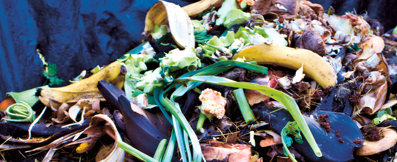 Domestic and garden compost heap.